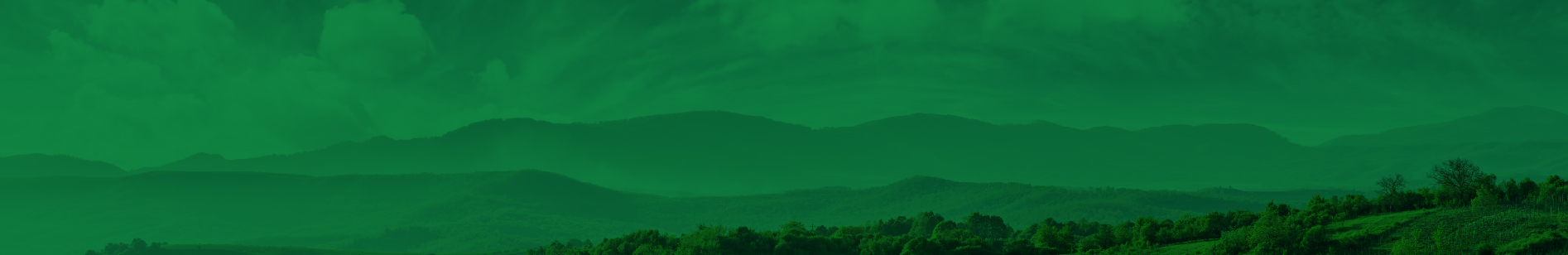 Use and Transform - nEGOWOOD Straw - Natural and Eco-Friendly Wooden Straws Use and Transform - nEGOWOOD Straw - Natural and Eco-Friendly Wooden Straws